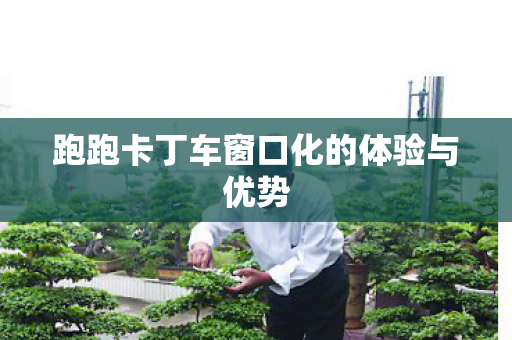 跑跑卡丁车窗口化的体验与优势图片
