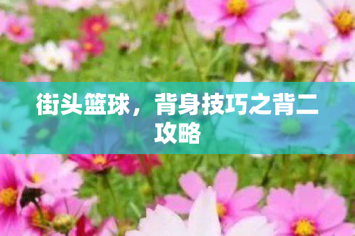 背身技巧之背二攻略图片