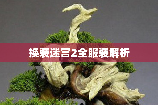 换装迷宫2全服装解析图片