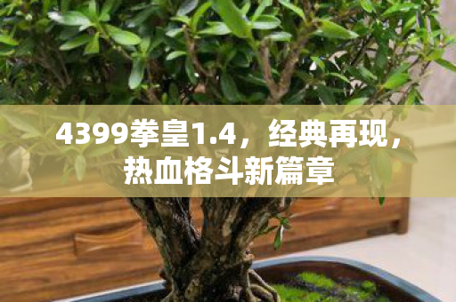 4399拳皇1图片