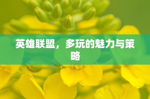 多玩的魅力与策略图片