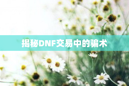 揭秘DNF交易中的骗术图片