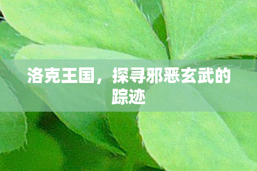 探寻邪恶玄武的踪迹图片