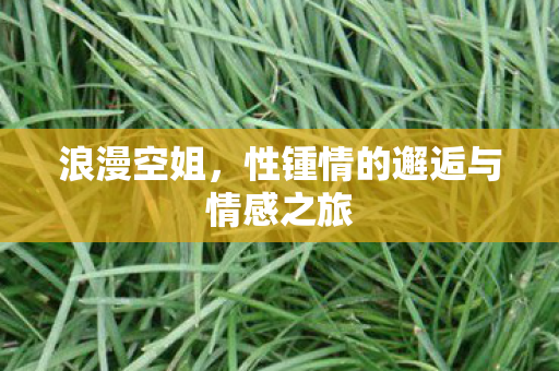 性锺情的邂逅与情感之旅图片
