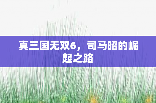 司马昭的崛起之路图片
