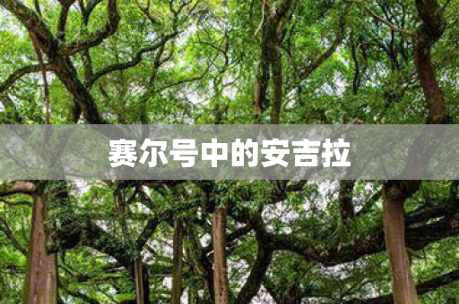 赛尔号中的安吉拉图片