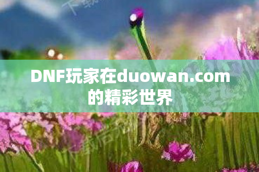 DNF玩家在duowan图片