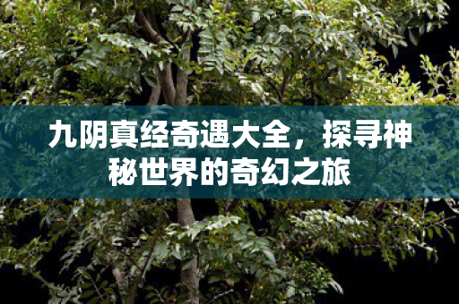 探寻神秘世界的奇幻之旅图片