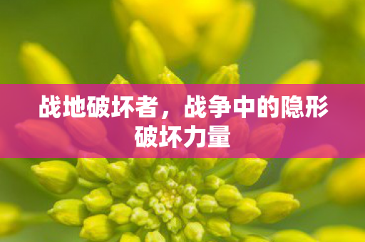 战争中的隐形破坏力量图片