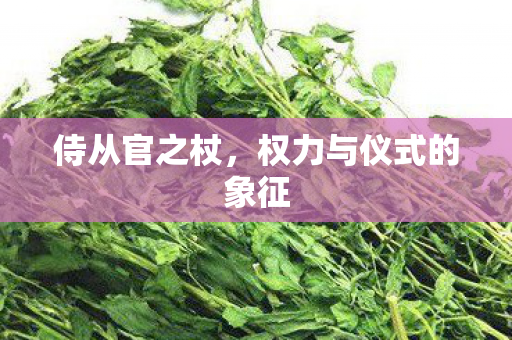 权力与仪式的象征图片
