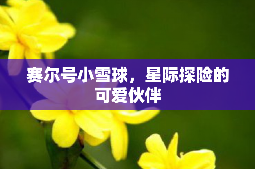 星际探险的可爱伙伴图片