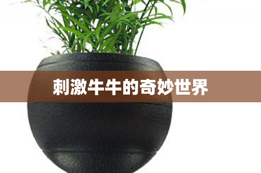 刺激牛牛的奇妙世界图片