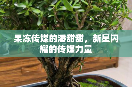 新星闪耀的传媒力量图片