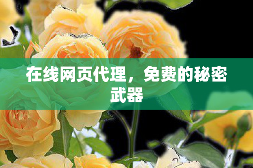免费的秘密武器图片