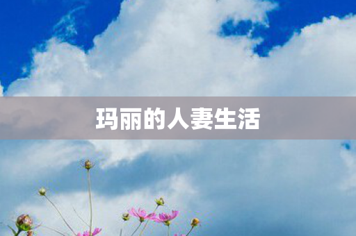 玛丽的人妻生活图片