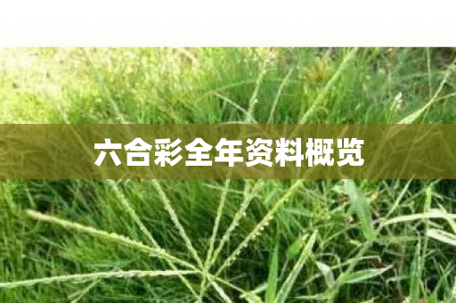 六合彩全年资料概览图片