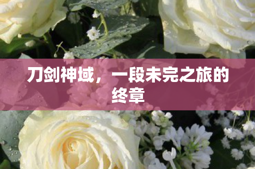 一段未完之旅的终章图片