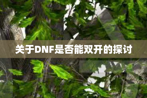 关于DNF是否能双开的探讨图片