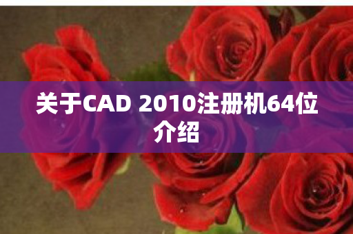 关于CAD 2010注册机64位介绍图片