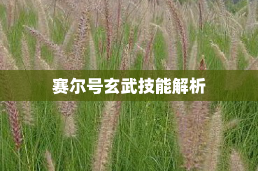 赛尔号玄武技能解析图片