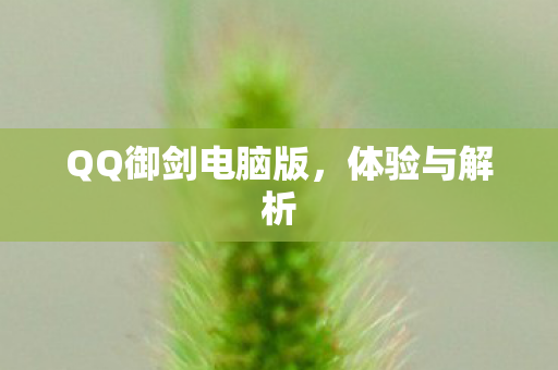 QQ御剑电脑版图片
