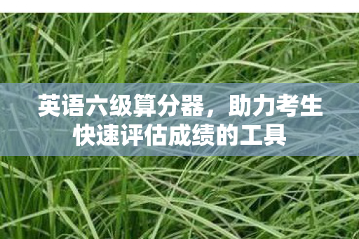 助力考生快速评估成绩的工具图片