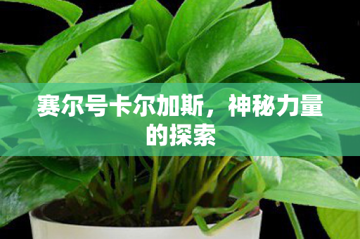 赛尔号卡尔加斯图片