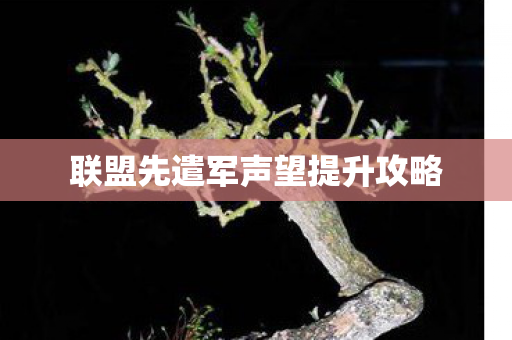 联盟先遣军声望提升攻略图片