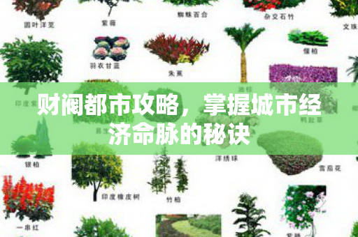 掌握城市经济命脉的秘诀图片