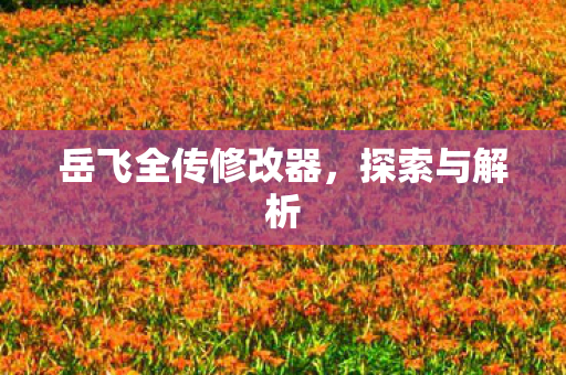 岳飞全传修改器图片