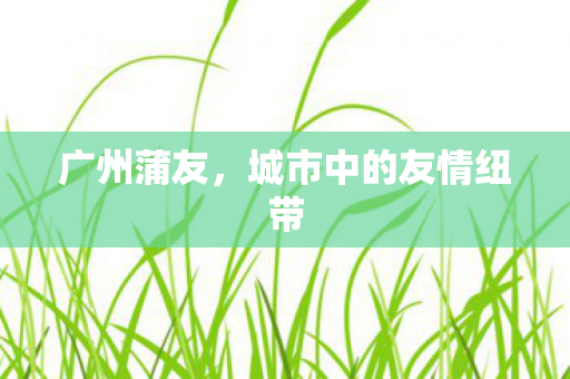 城市中的友情纽带图片
