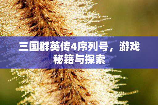 三国群英传4序列号图片