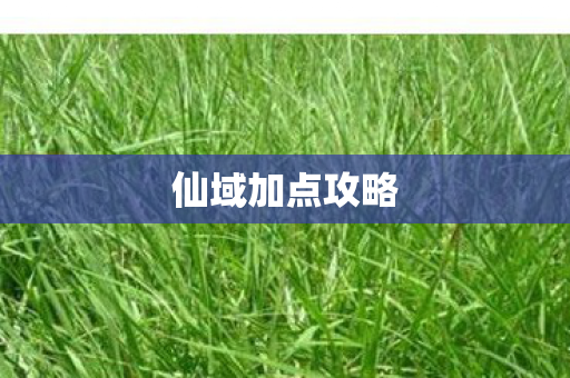 仙域加点攻略图片