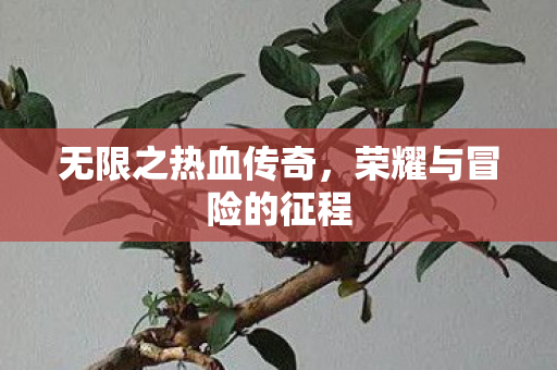 荣耀与冒险的征程图片