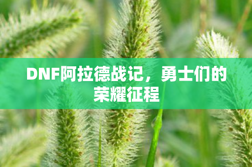 DNF阿拉德战记图片
