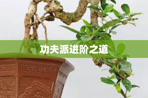 功夫派进阶之道图片