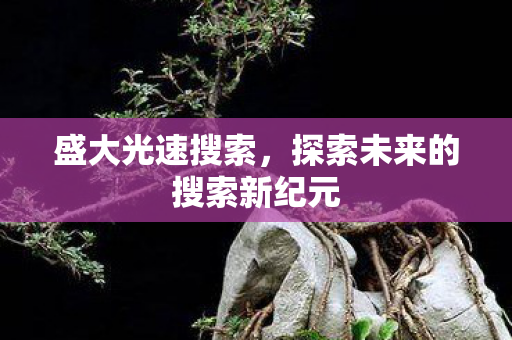 探索未来的搜索新纪元图片