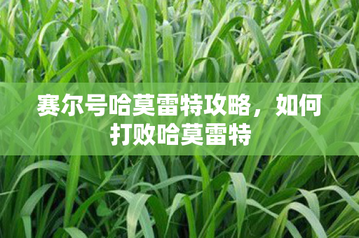 赛尔号哈莫雷特攻略图片