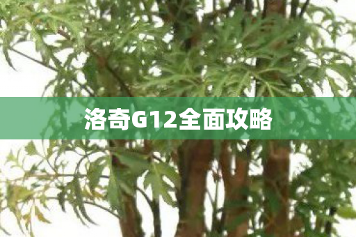 洛奇G12全面攻略图片