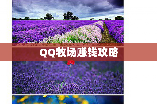 QQ牧场赚钱攻略图片