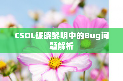 CSOL破晓黎明中的Bug问题解析图片