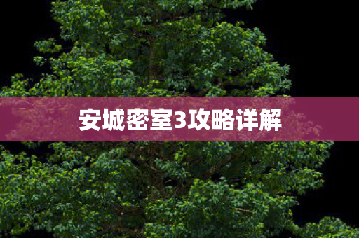 安城密室3攻略详解图片