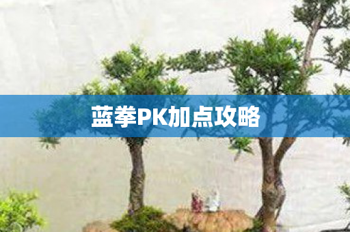 蓝拳PK加点攻略图片