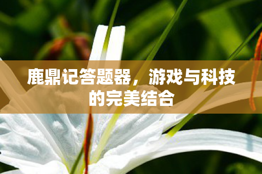 游戏与科技的完美结合图片