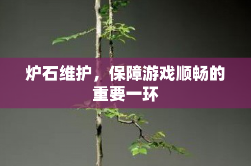 保障游戏顺畅的重要一环图片