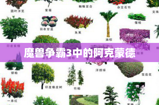 魔兽争霸3中的阿克蒙德图片