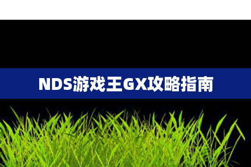 NDS游戏王GX攻略指南图片