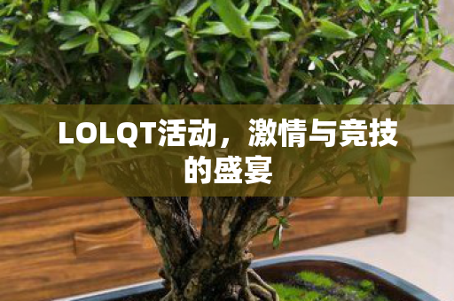 激情与竞技的盛宴图片
