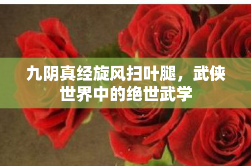 武侠世界中的绝世武学图片