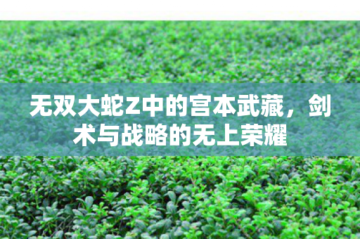 无双大蛇Z中的宫本武藏图片